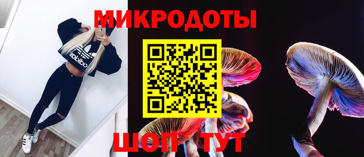 Псилоцибиновые грибы Psilocybine cubensis Малоярославец