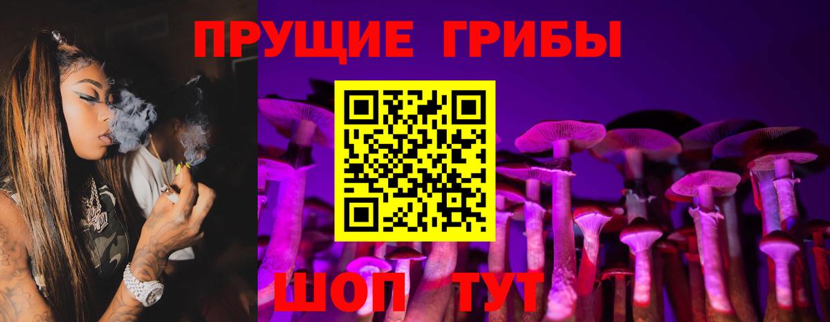 Малоярославец  Псилоцибиновые грибы мицелий  Вход с VPN 